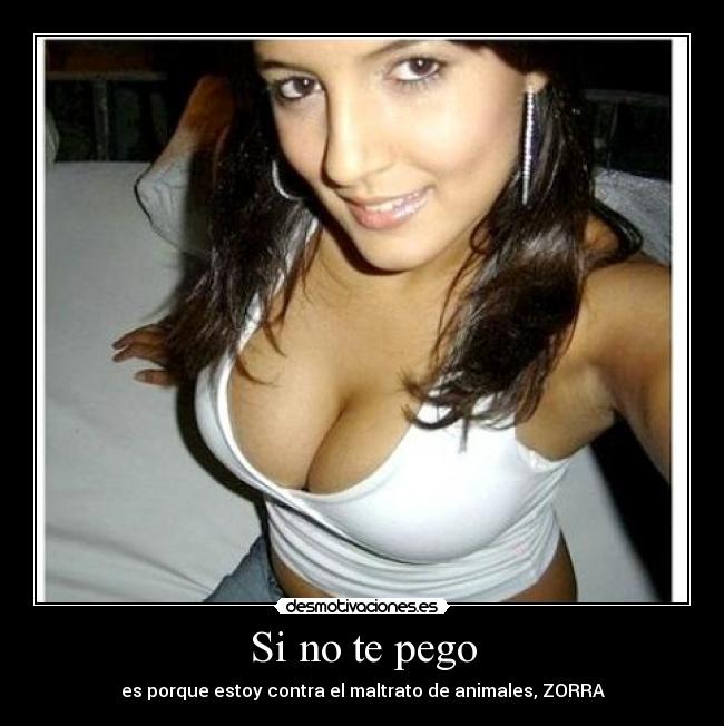Si no te pego - es porque estoy contra el maltrato de animales, ZORRA
