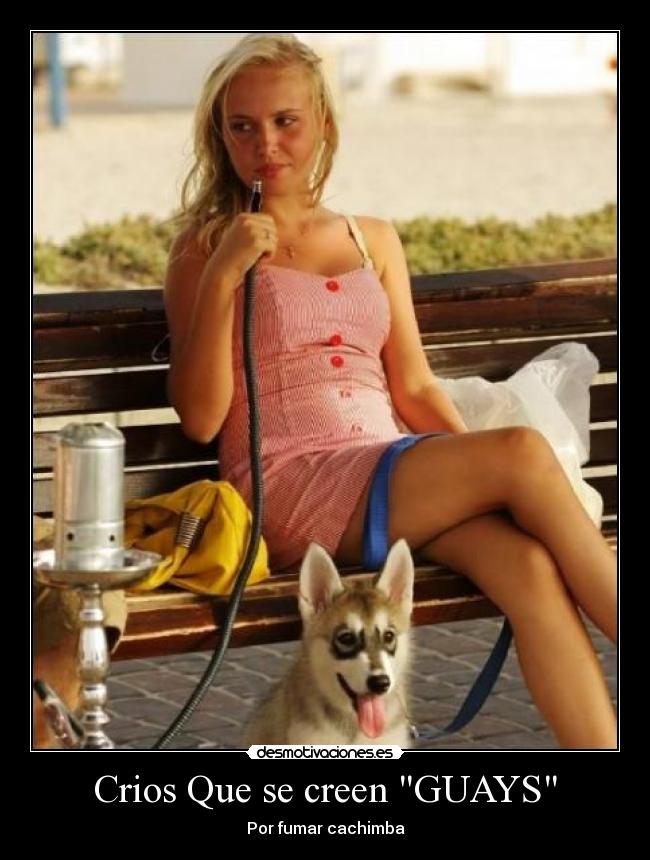 carteles desmotivaciones