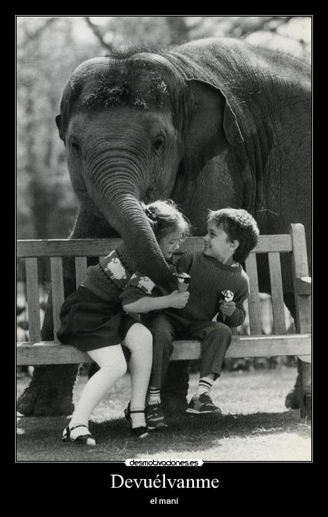 Devuélvanme - el maní