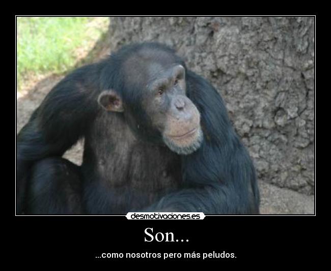 Son... -