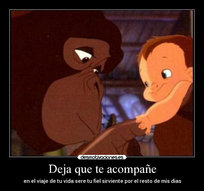 Deja que te acompañe - en el viaje de tu vida sere tu fiel sirviente por el resto de mis dias