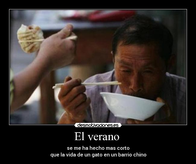 El verano  - se me ha hecho mas corto
que la vida de un gato en un barrio chino