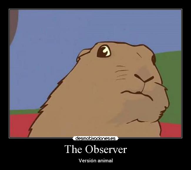 The Observer -