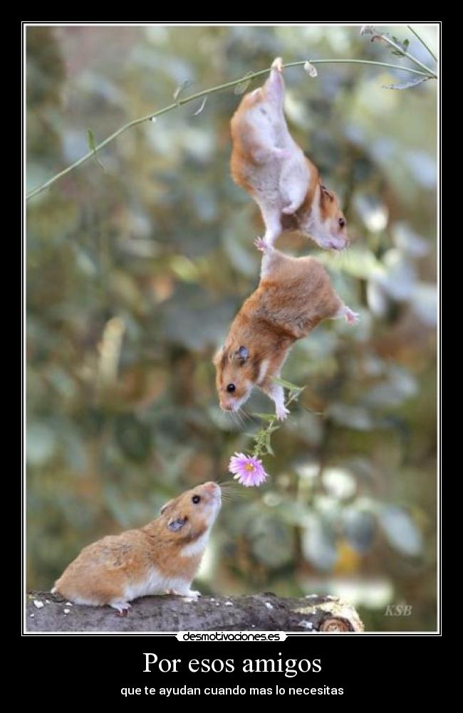 Por esos amigos - que te ayudan cuando mas lo necesitas