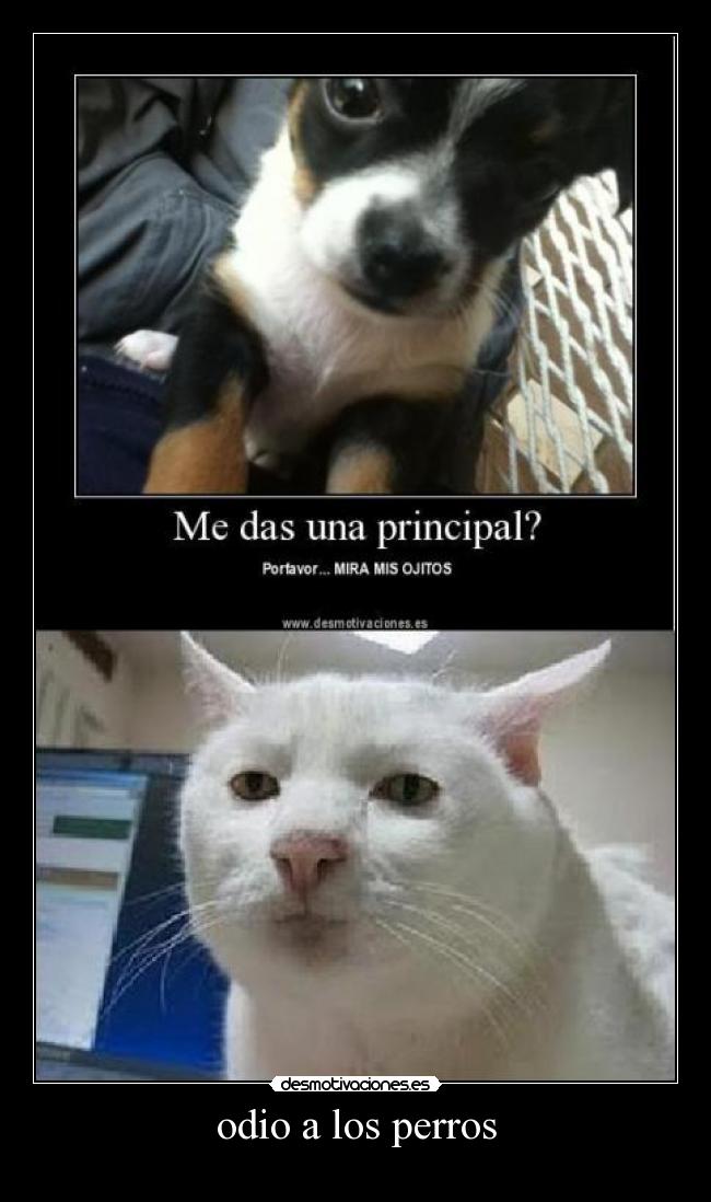 carteles odio juan desmotivaciones