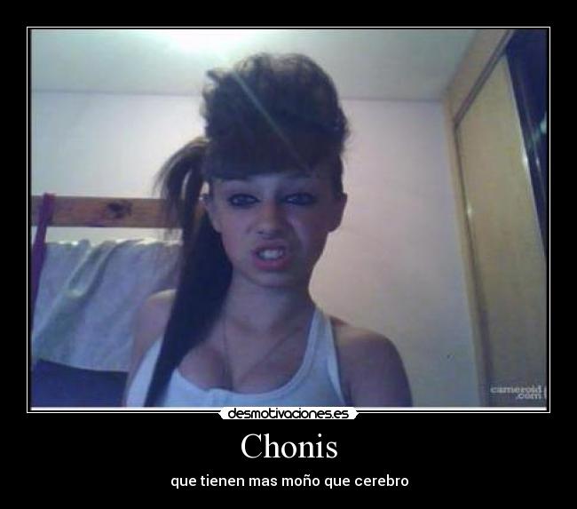 carteles chonis desmotivaciones