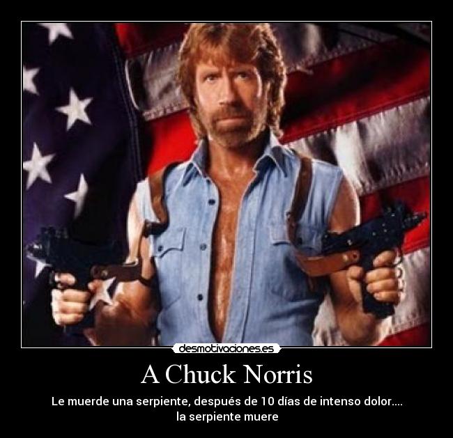 carteles chuck norris justin bieber gayber lerickzu demostivaciones desmotivaciones