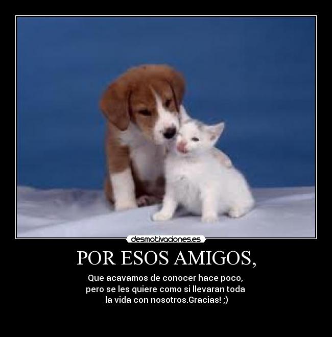 POR ESOS AMIGOS, - Que acavamos de conocer hace poco,
pero se les quiere como si llevaran toda
la vida con nosotros.Gracias! ;)