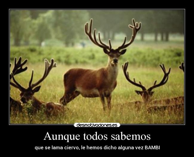 Aunque todos sabemos -