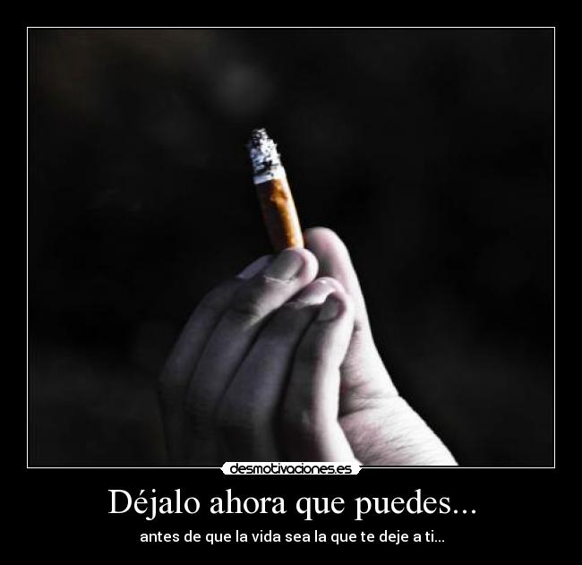 Déjalo ahora que puedes... - 