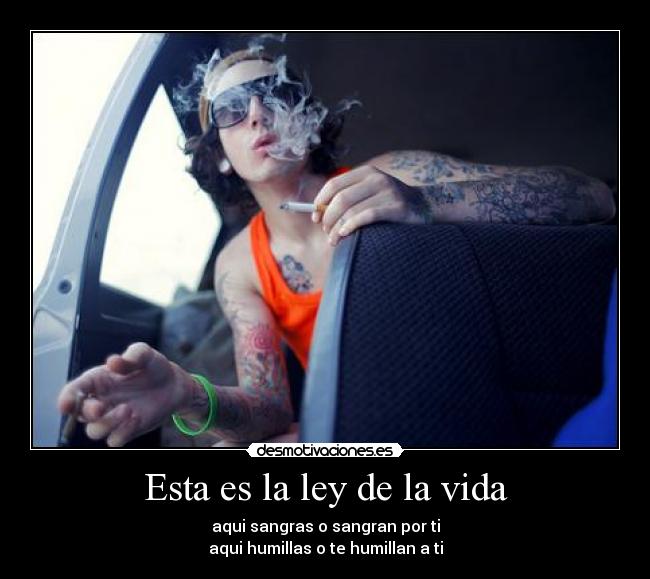 Esta es la ley de la vida -