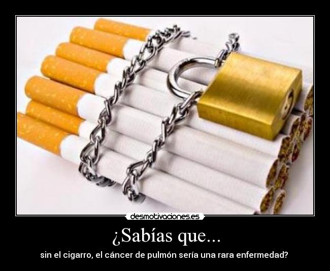 ¿Sabías que... -