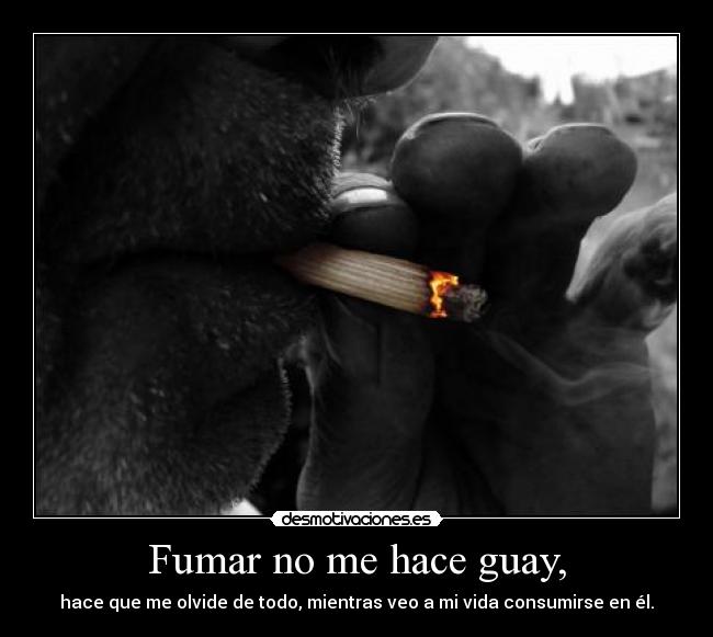 carteles fumar hace guay desmotivaciones