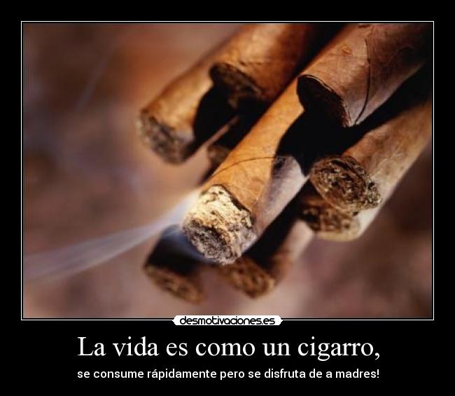 carteles vida vida desmotivaciones