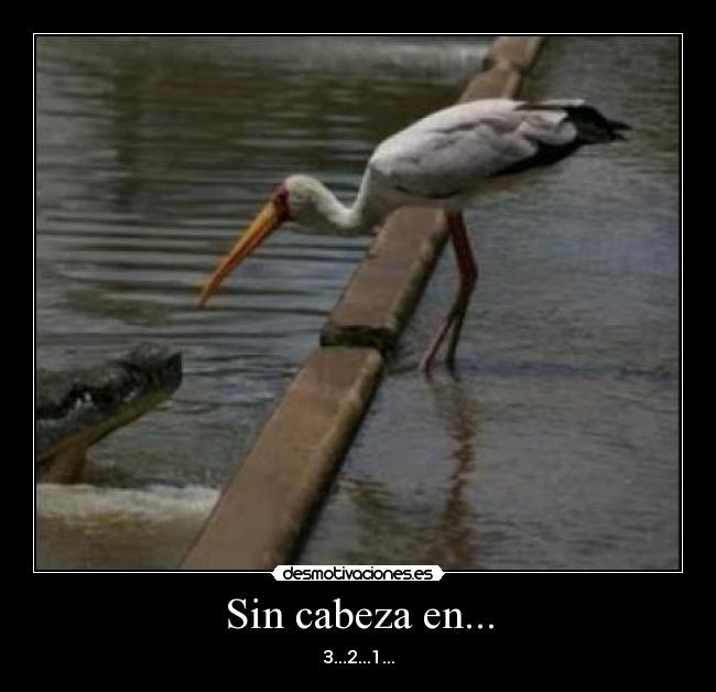Sin cabeza en... - 3...2...1...