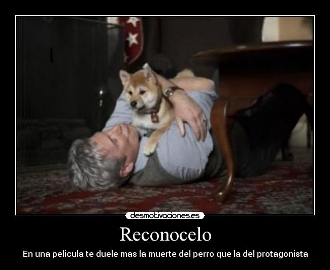 Reconocelo - 