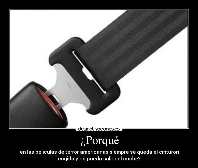 carteles cinturon desmotivaciones