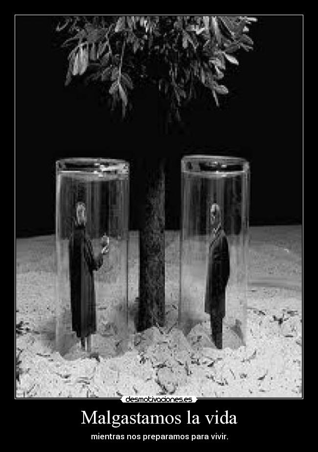 Malgastamos la vida -