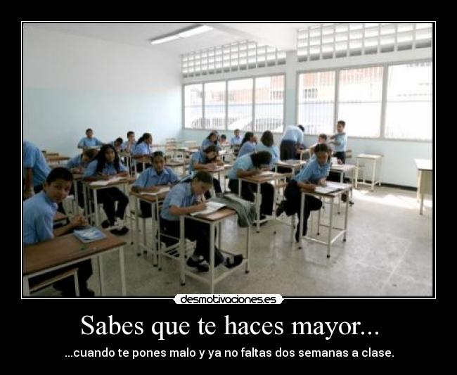 carteles wwwdemotivacioneses desmotivaciones