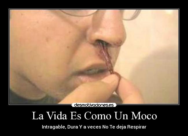 carteles vida vida desmotivaciones