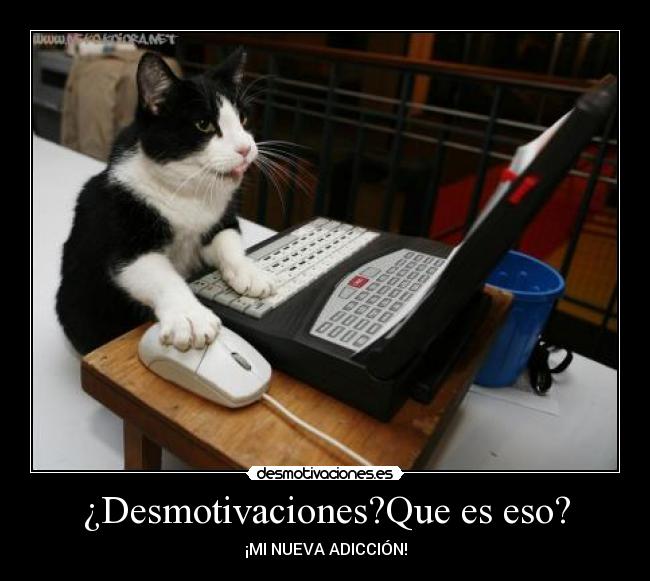 ¿Desmotivaciones?Que es eso? -