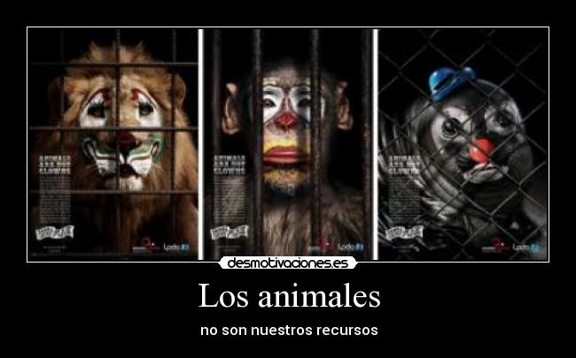 Los animales - 