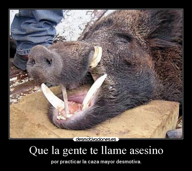Que la gente te llame asesino - por practicar la caza mayor desmotiva.