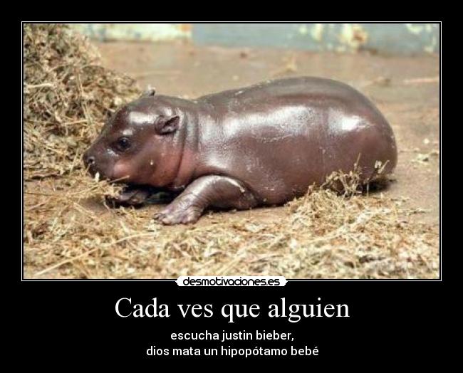 Cada ves que alguien - escucha justin bieber,
dios mata un hipopótamo bebé
