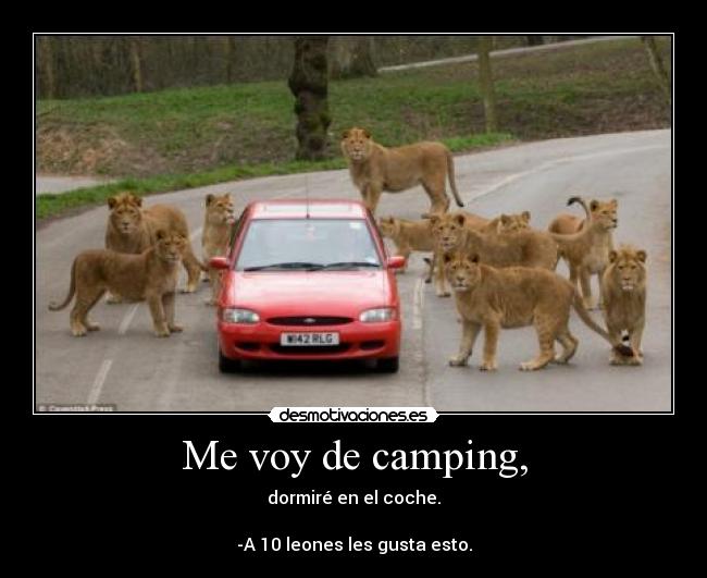 Me voy de camping, -