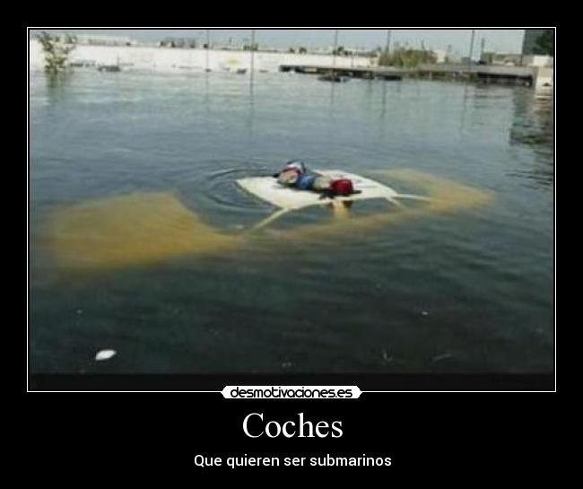 Coches - 