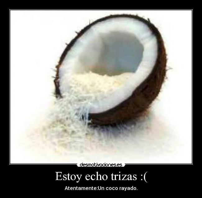 Estoy echo trizas :( - Atentamente:Un coco rayado.