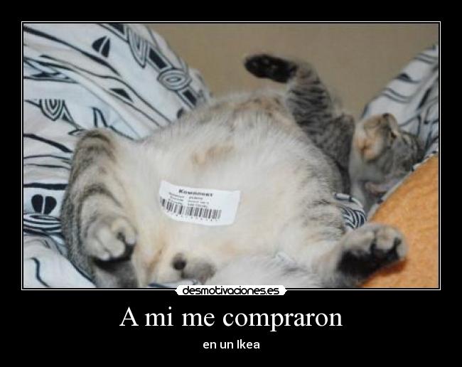 carteles dffd desmotivaciones