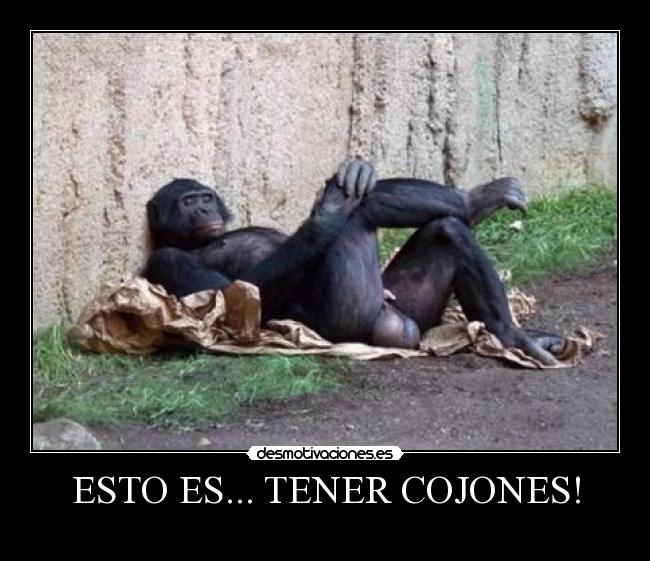 carteles jejejeeeee desmotivaciones