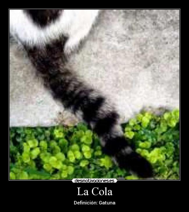 La Cola -