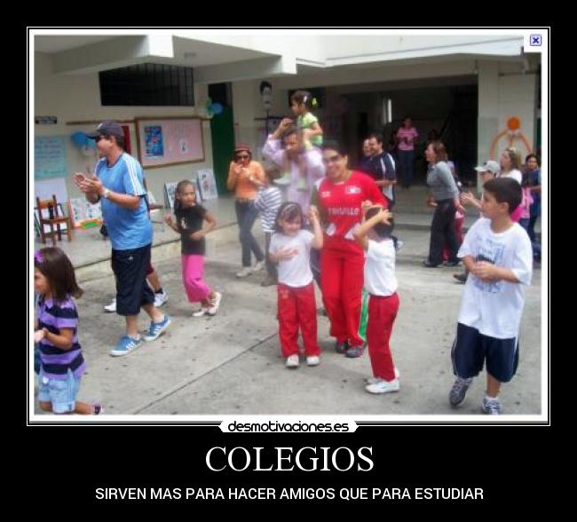 COLEGIOS - SIRVEN MAS PARA HACER AMIGOS QUE PARA ESTUDIAR