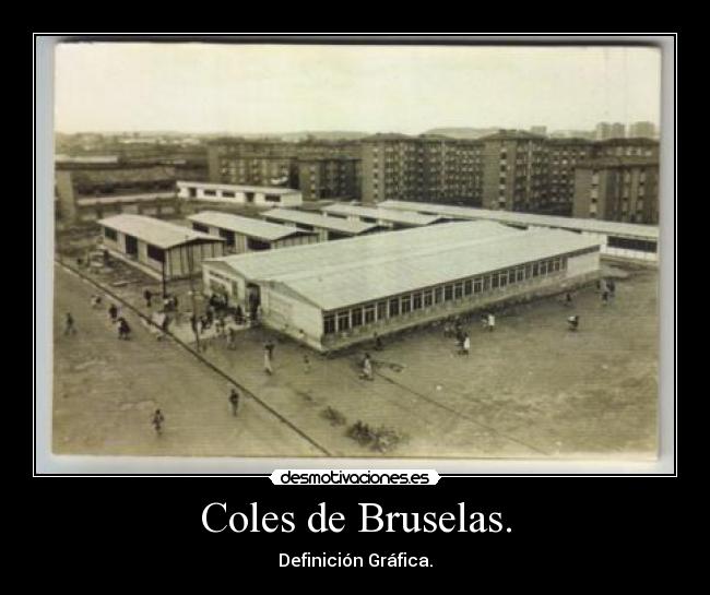 Coles de Bruselas. - Definición Gráfica.