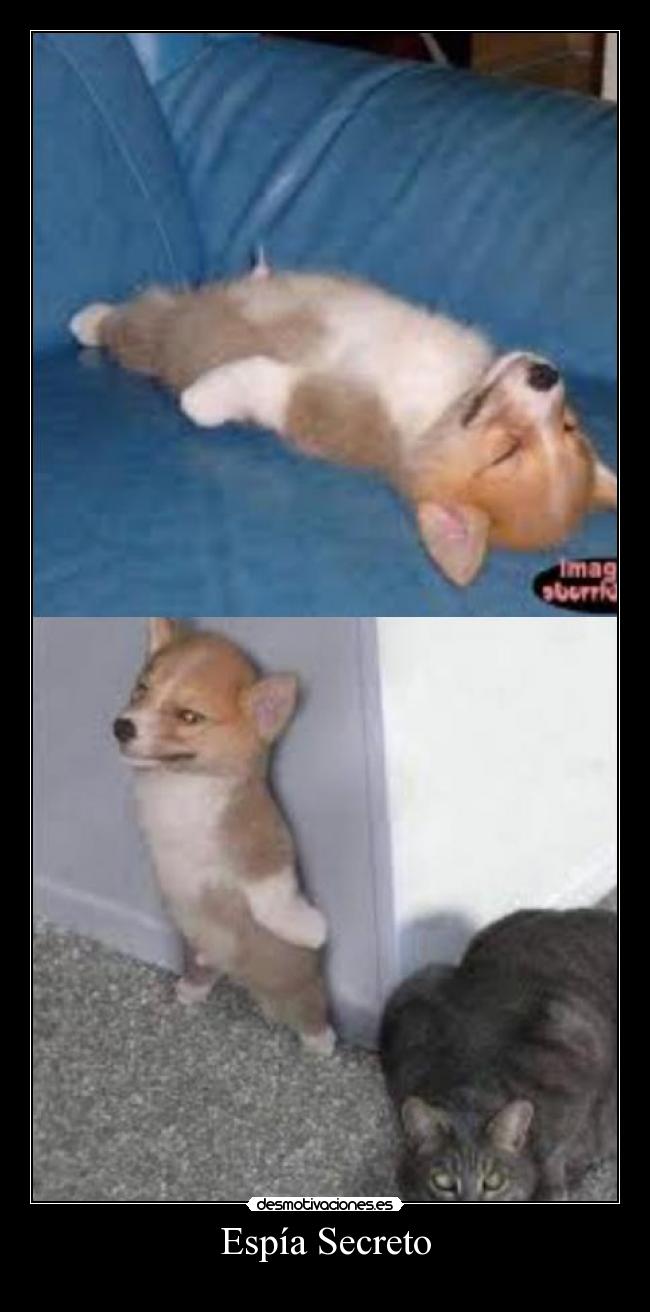 Espía Secreto -