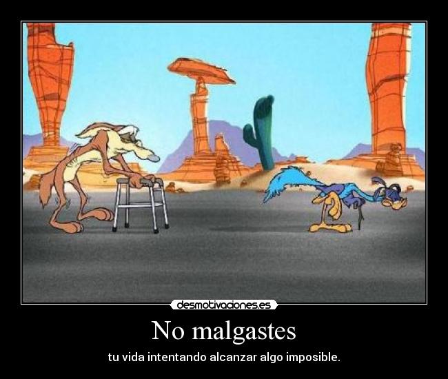 No malgastes - 