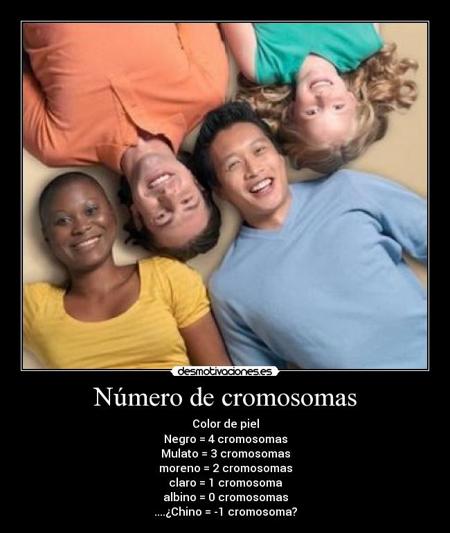 carteles xdd pretendo ser racistasolo una risita desmotivaciones