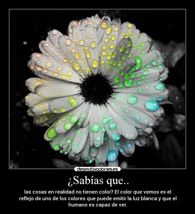 carteles wow desmotivaciones