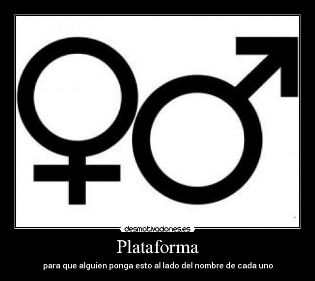 Plataforma - 