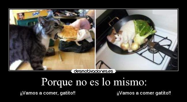 Porque no es lo mismo: -