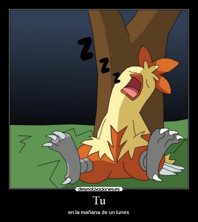 Tu - en la mañana de un lunes