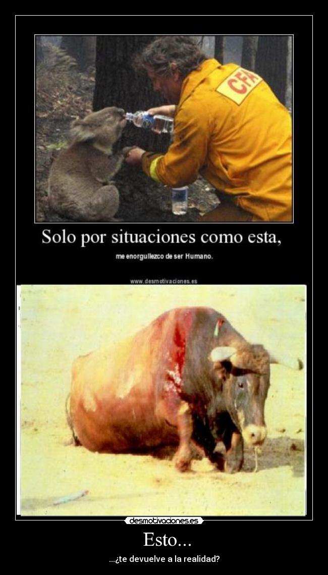 Esto... - ...¿te devuelve a la realidad?