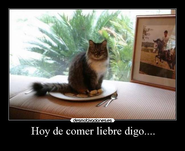 carteles wss desmotivaciones