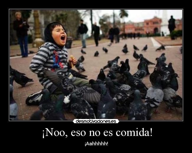 ¡Noo, eso no es comida! -