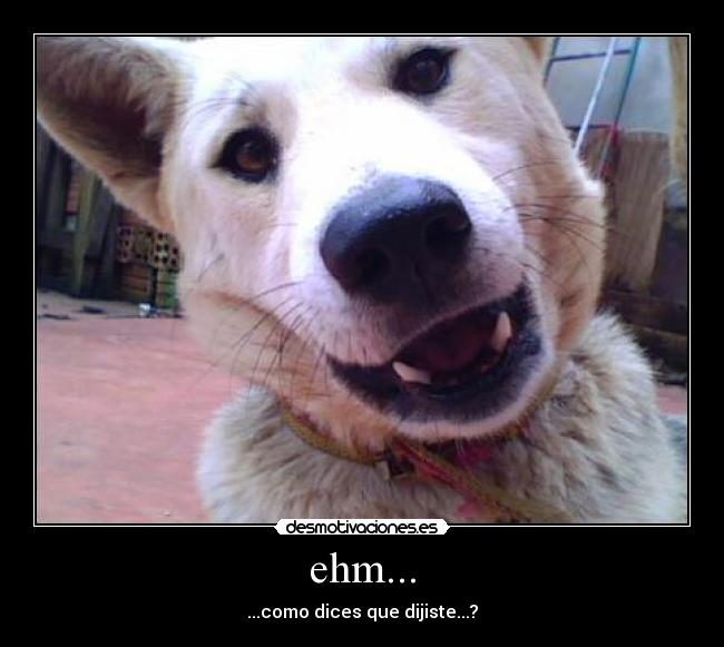 ehm... - ...como dices que dijiste...?