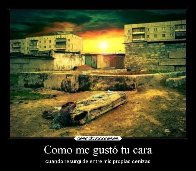 Como me gustó tu cara - 