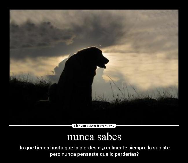 nunca sabes - 