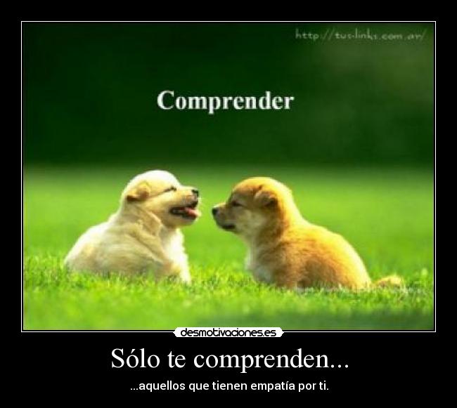 Sólo te comprenden... - 